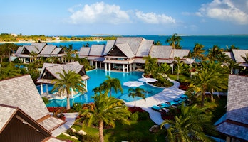 Lazy Lizard  image 1