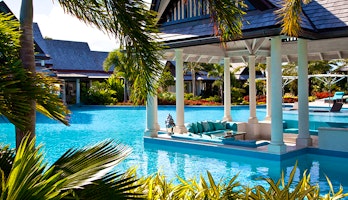 Lazy Lizard  image 2