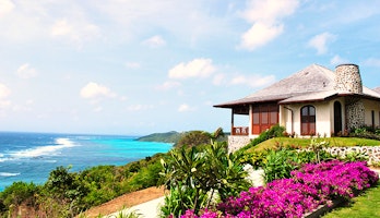 Silver Turtle  image 1