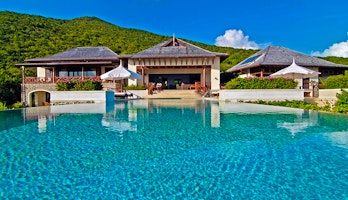 Silver Turtle  image 2