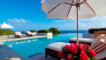 Silver Turtle  image 3