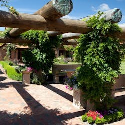 Village green at Grand Mercure Nelson Monaco