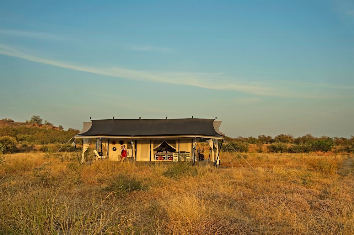 jawai leopard camp luxury tent