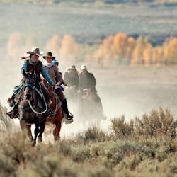 Group Riding At Goosewing Ranch