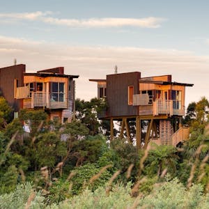 One Bedroom Tree House