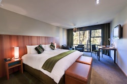 te waonui forest retreat south island