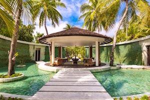 OZEN RESERVE BOLIFUSHI image 2