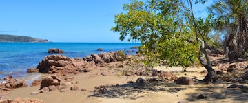 Fraser Island to Agnes Water (156 miles)
