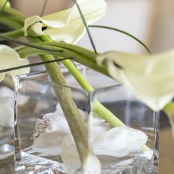 Dining Table Detail at Shangri-La's Barr Al Jissah Resort & Spa, Al Bandar