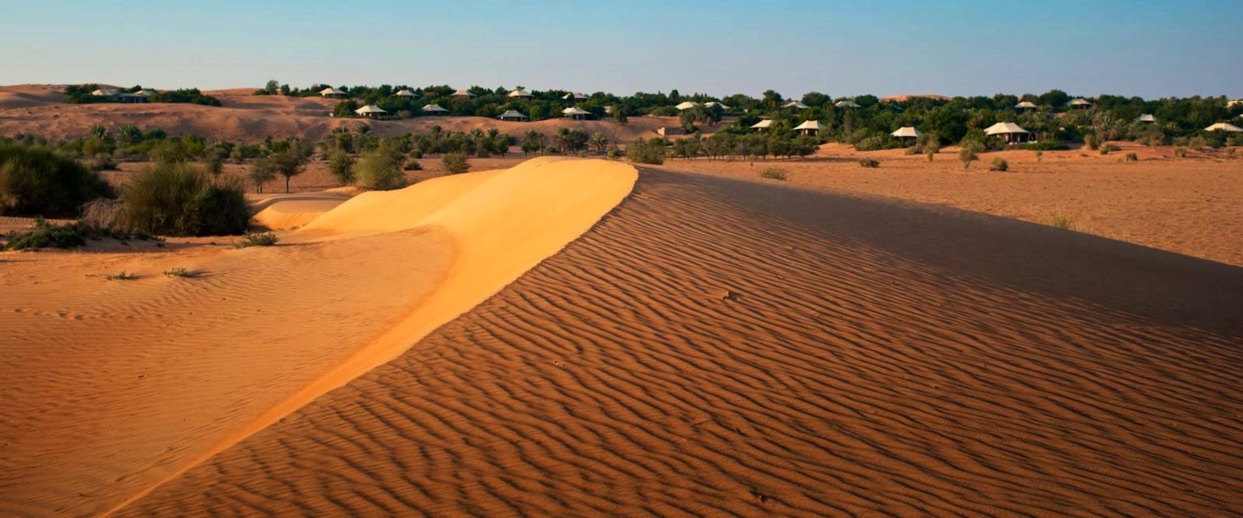 Resort View of Al Maha, a Luxury Collection Desert Resort & Spa