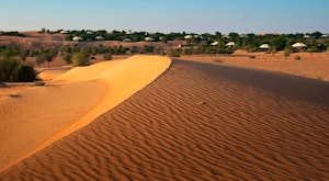 Escape to the desert in refined luxury at this oasis in the dunes<place>Al Maha, a Luxury Collection Desert Resort & Spa</place><fomo>42</fomo>