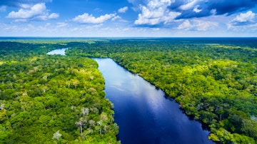 8 Jan 2025 - Cruising the Amazon River
