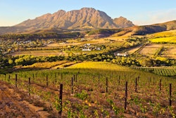 Garden, Lanzerac, Cape Winelands, South Africa