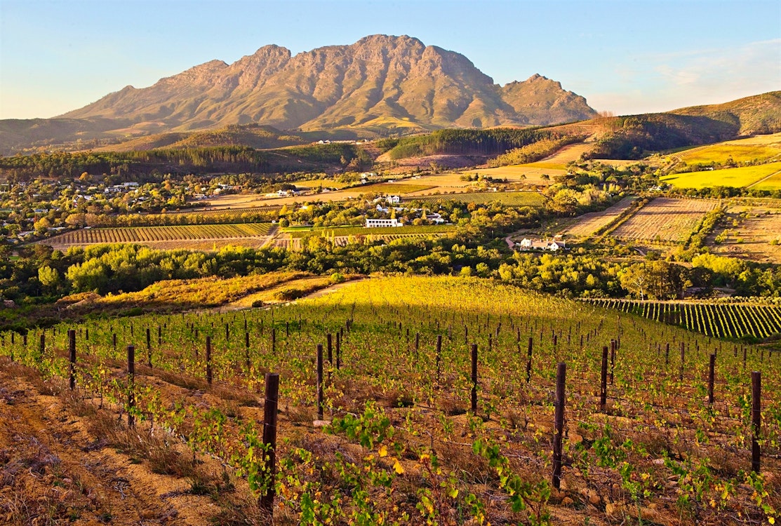 Garden, Lanzerac, Cape Winelands, South Africa