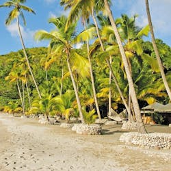 Beach Area at Anse Chastanet, St Lucia