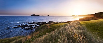 Archerfield House  image 1