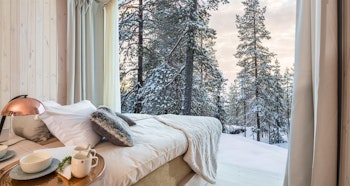 Arctic Treehouse Hotel image 2