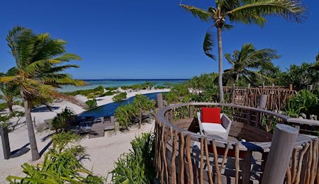 Te Manu Bar