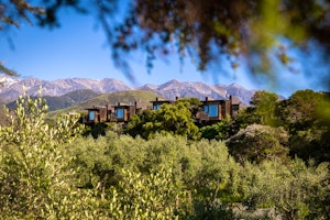 Hapuku Lodge + Tree Houses image 1