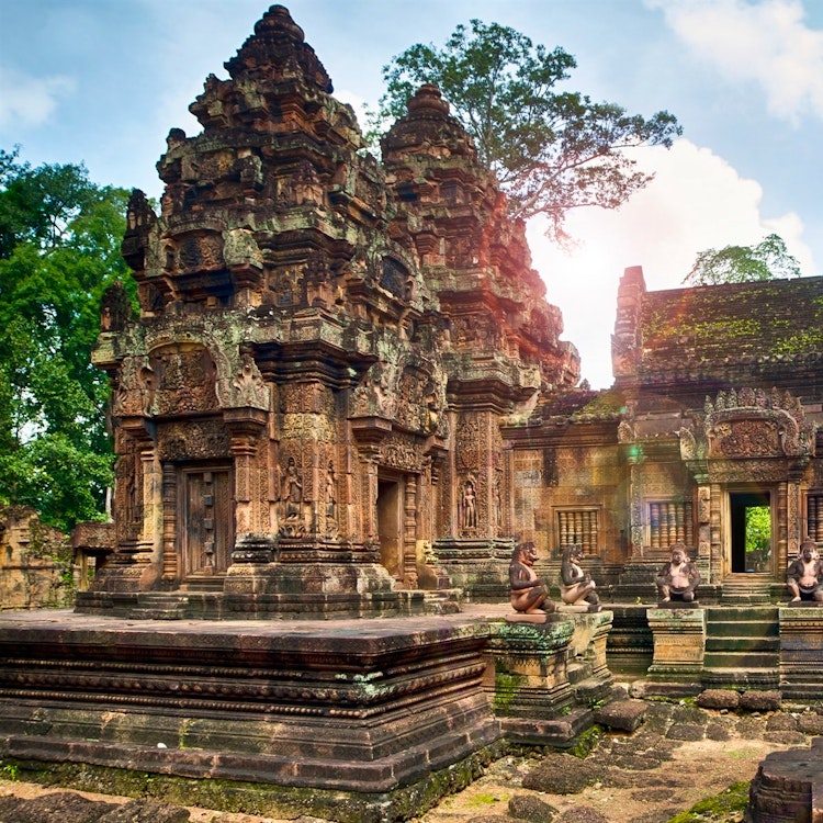 Cooking Class & Temple Tour