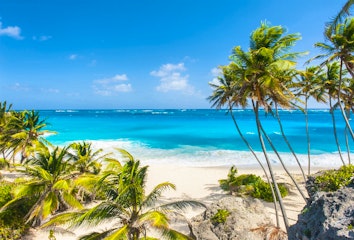 2 Jan 2025 - Fly from the UK to Barbados 