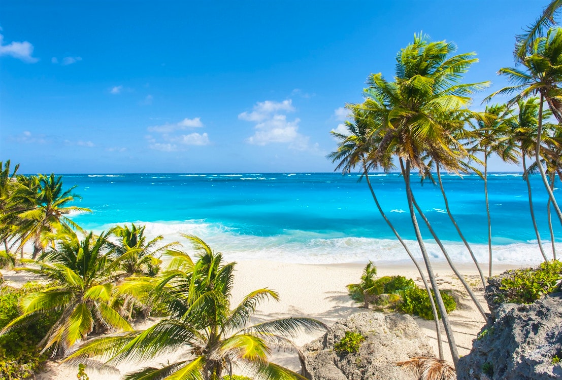 Barbados, Amazon Trailblazer, Oceania Cruises