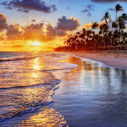 beach in barbados