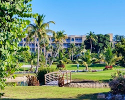 resort gold view rooms at cheeca lodge spa. florida keys