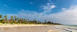 Beach at Zanzibar White Sand Luxury Villas and Spa