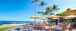 beach tree bar at four seasons resort hualalai
