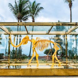 damien hirsts woolly mammoth at the faena hotel miami beach