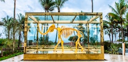 gone but not forgotten by damien hirst at faena miami