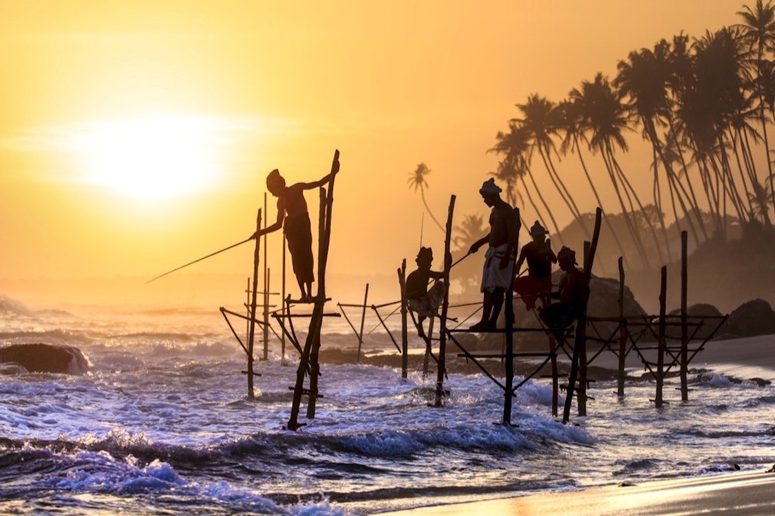 sri lankan stilt fishermen 