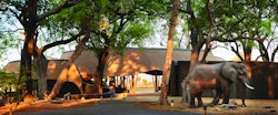 Exterior of Eagle Island Lodge, A Belmond Safari, Botswana