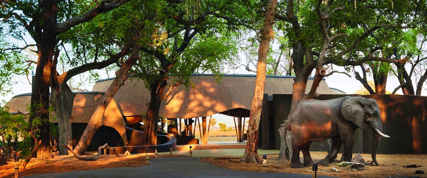 Exterior of Eagle Island Lodge, A Belmond Safari, Botswana