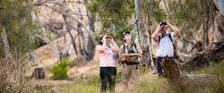 Bird Watching at Arkaba Conservancy, Flinders Ranges