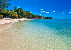 beach at bluff house barbados