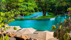 swimming pool at capella singapore