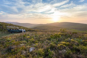 A South African Winelands Escape with Culture & Safari image 1
