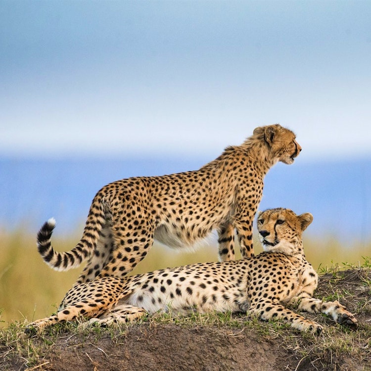 Serengeti National Park