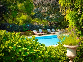 Chewton Glen image 2