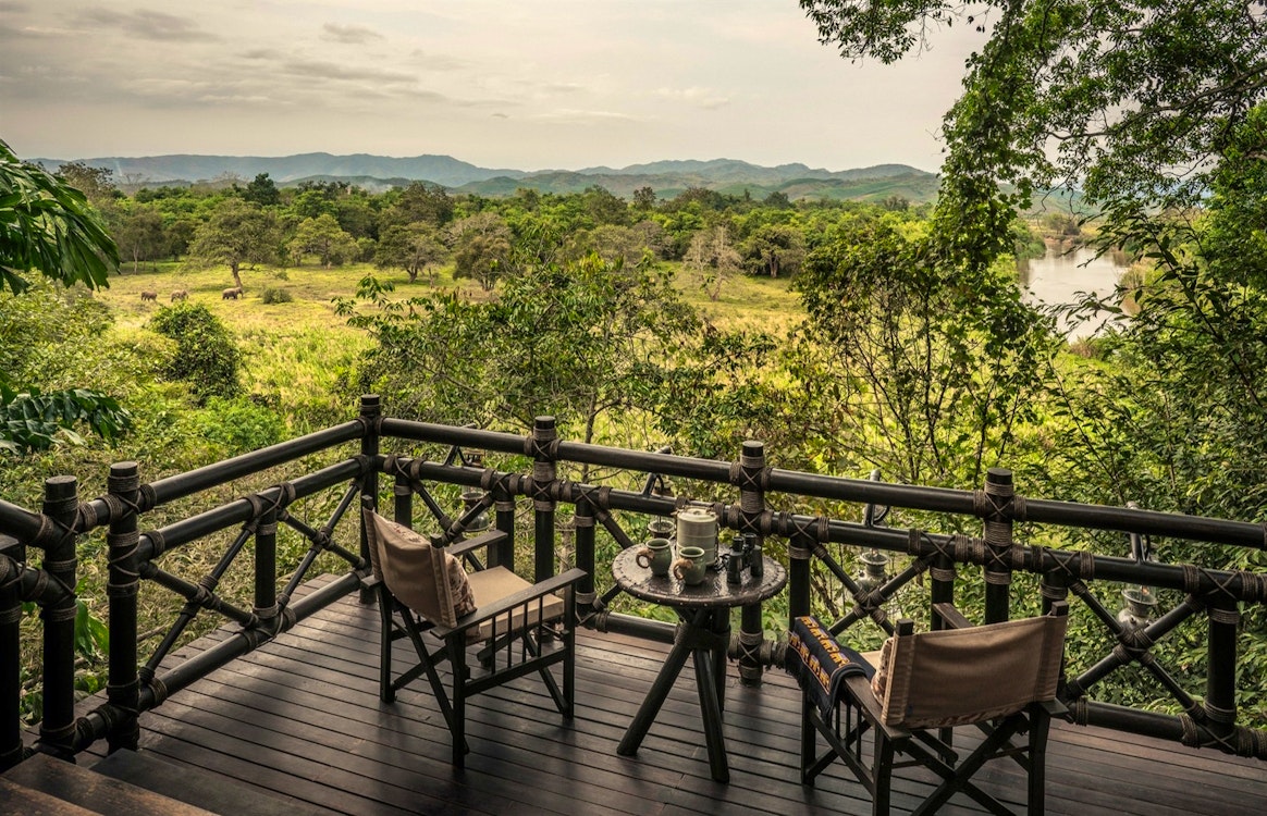 Watch elephants roam around the jungle, Four Seasons Tented Camp Golden Triangle, Thailand