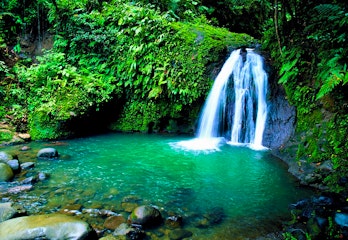 Waterfalls and rum tasting in Basse-Terre