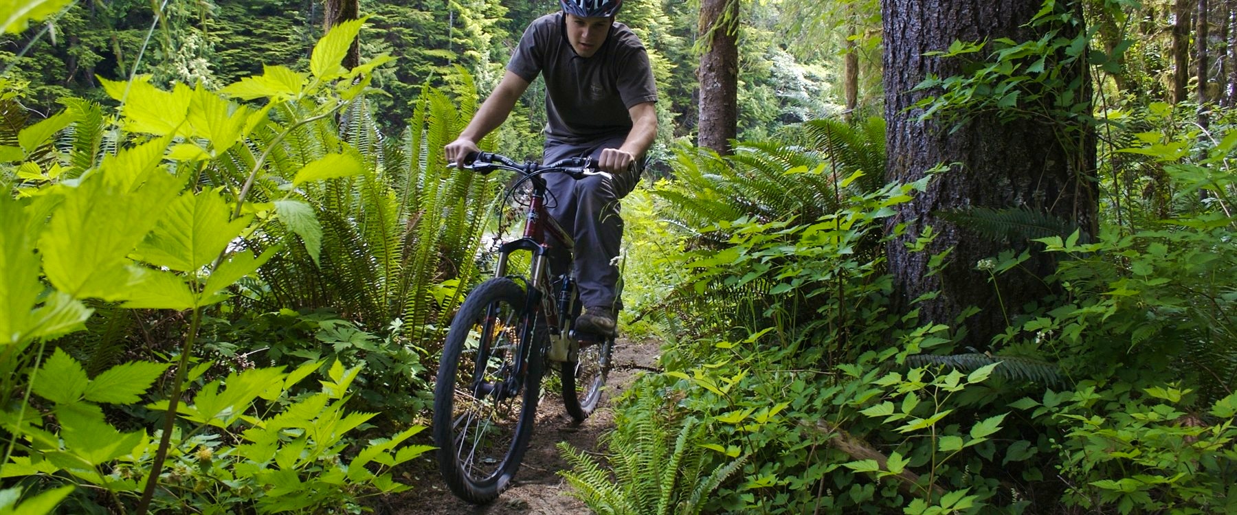 Mountain biking at Clayoquot Wilderness Resort