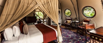 Wild Coast Tented Lodge image 3