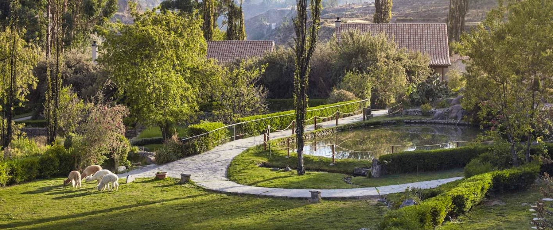 beautiful grounds, Las Casitas, A Belmond Hotel, Colca Canyon 
