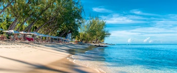 Colony Club by Elegant Hotels image 1