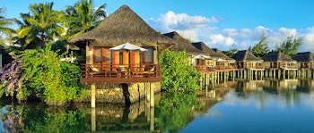 Constance Prince Maurice image 2