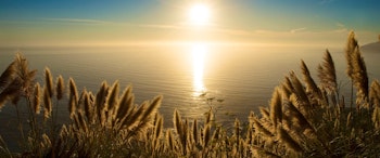 Ventana Big Sur image 1