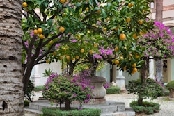 Courtyard, San Domenico Palace a Four Seasons Hotel, Sicily, Italy